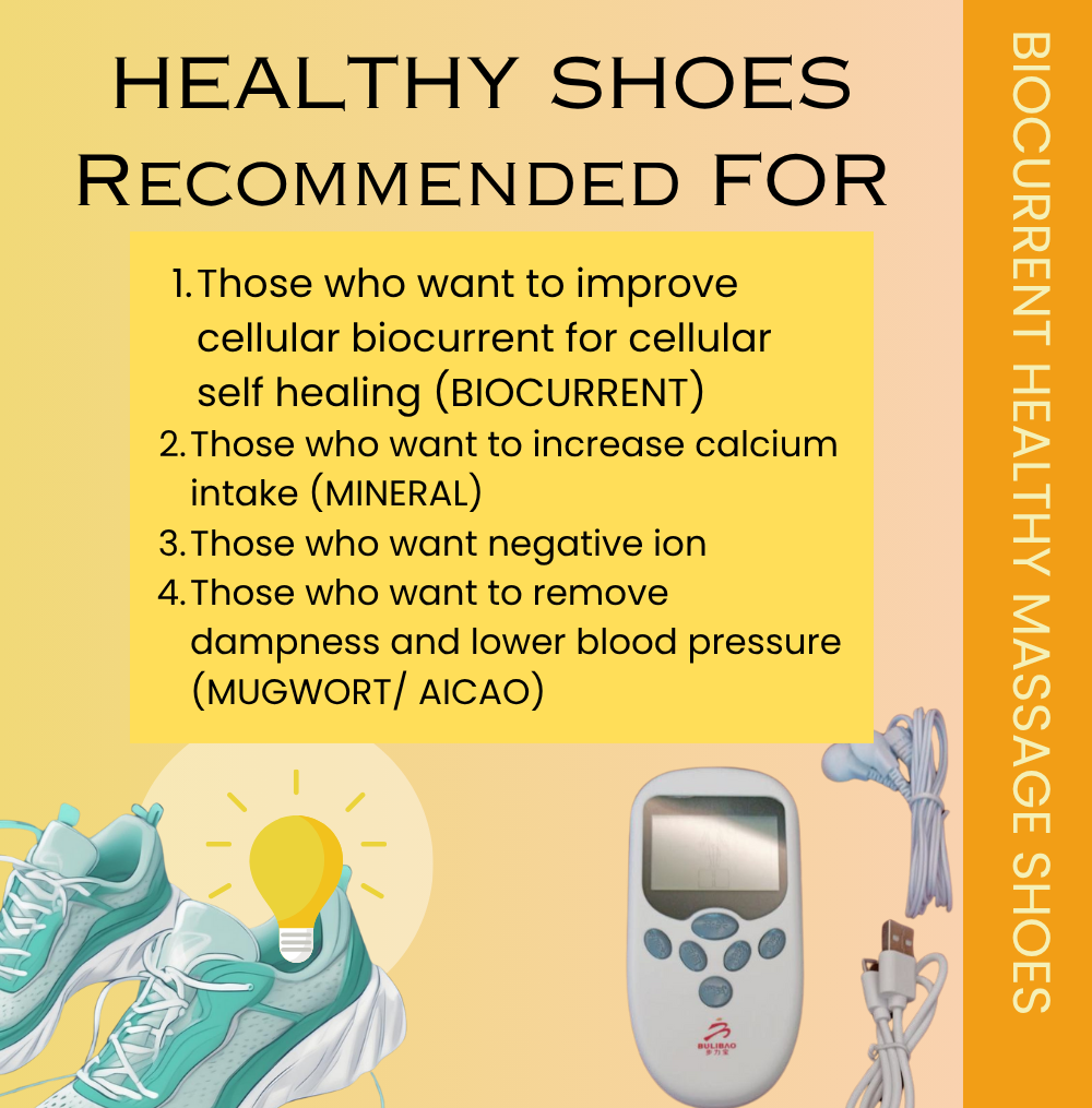 BIOCURRENT HEALTHY MASSAGE SHOES VOUCHER - Image 3